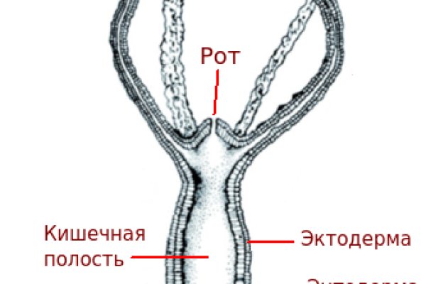 Восстановить аккаунт кракен