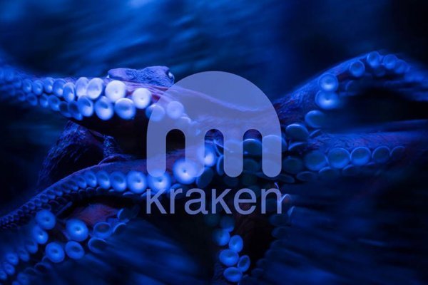 Как зарегистрироваться в kraken