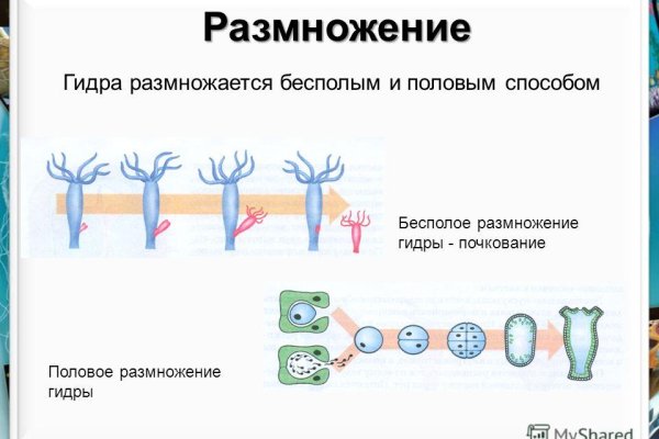 Кракен тор ссылка